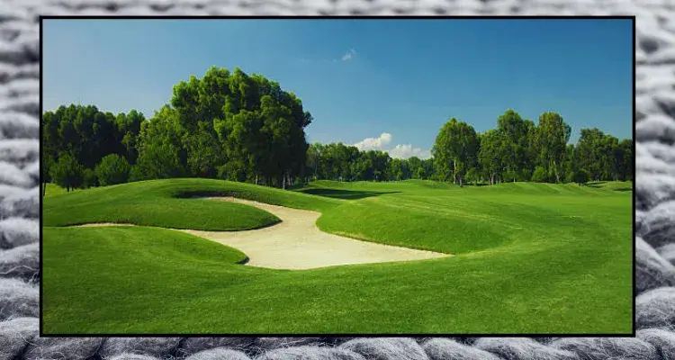 Private, public and semi-private golf courses