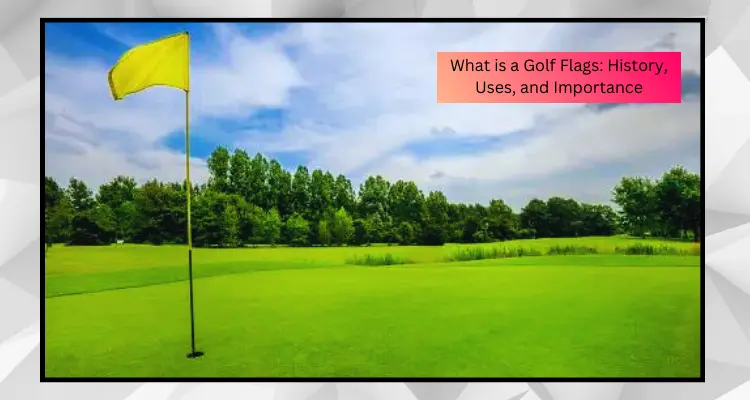 What is a Golf Flags